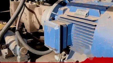 WS-400 Gantry Shear with 4000kn Max Cutting Force 1400mm Blade Length and 4-6t/H Production Rate